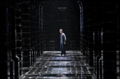 Quelle vision pousse Harry à se rendre au plus vite au ministère de la Magie en compagnie de l'Ordre ?