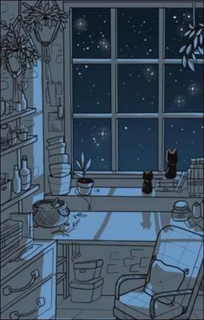 La fenêtre de ta chambre est ouverte.