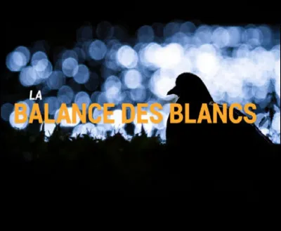 Dans quel domaine fait-on la balance des blancs ?