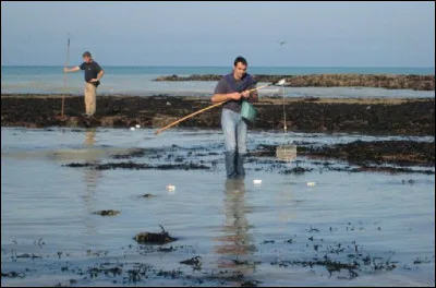 &Agrave; quoi sert cette balance ?