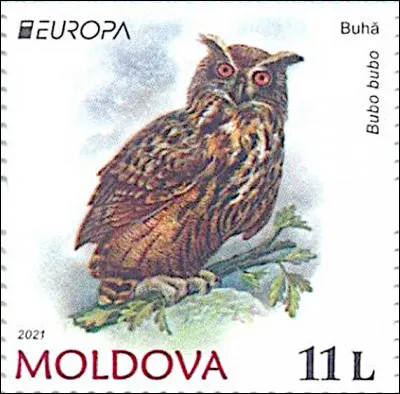 Moldavie > En voilà un qu'il ne faut surtout pas prendre pour un moldu...