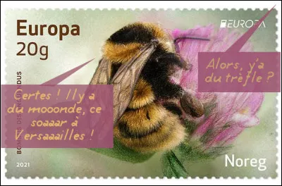 Norvège > Dans la famille des insectes, certains s'y croient un tout petit peu quand même...