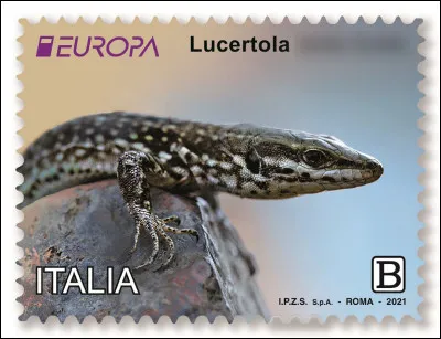 Italie > Écologique avant tout le monde, ce lézard ... ! (Complétez !)