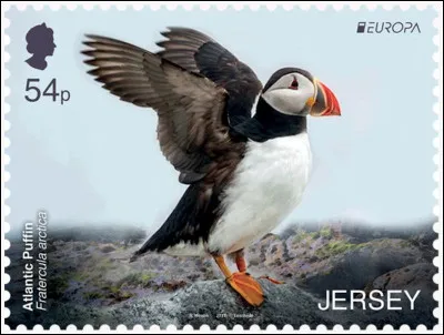 Jersey > C'est vrai qu'il est tellement mignon qu'on en mangerait un tout petit bout, du ...