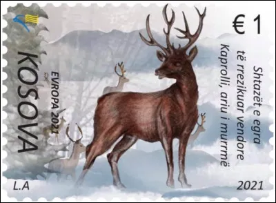 Kosovo > Dans cette région, ce sont notamment les grands ... qui sont menacés. (Complétez !)