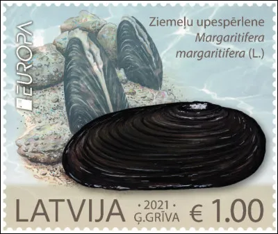 Lettonie > "Margaritifera margaritifera" : Ah, ça tombe bien... j'avais oublié une chose importante concernant la mulette : sa longévité !