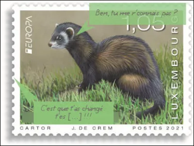 Luxembourg > Voilà ce que c'est que de grandir !