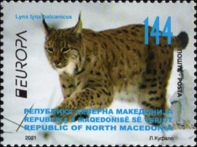 Macédoine du nord > Cette sous-espèce de lynx boréal est tellement difficile à observer qu'on le nomme ...