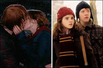Comment s'appellent les futurs enfants de Ron et Hermione ?