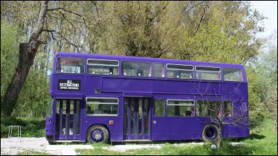 Comment s'appellent les chauffeurs et contrôleurs du magicobus ?