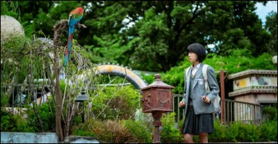 &Agrave; quoi sert la bo&icirc;te aux lettres ?