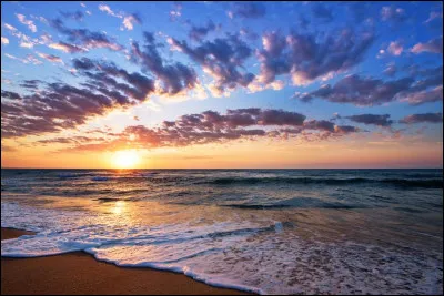 Si tu devais devenir un animal, lequel choisirais-tu ?