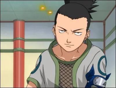Shikamaru est...