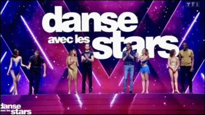 Qui n'a jamais présenté l'émission "Danse avec les stars" ?