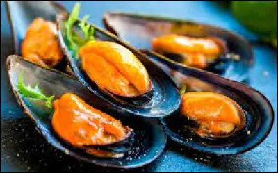 Comment appelle-t-on l'élevage des moules ?