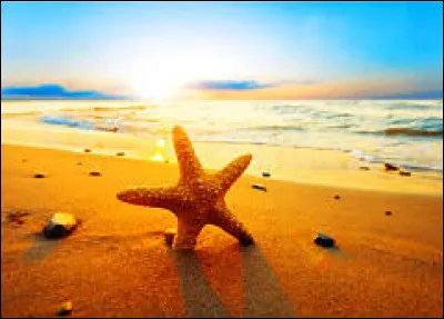 Comment dit-on "août" en espagnol ?