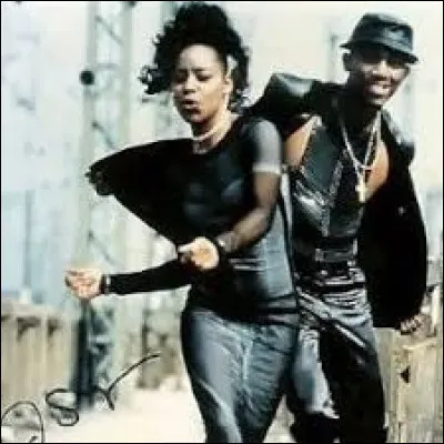 À quel groupe eurodance doit-on la chanson "Mr. Vain" sortie en 1993 ?