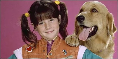 Quel est le nom du chien de Punky Brewster dans la série éponyme ?