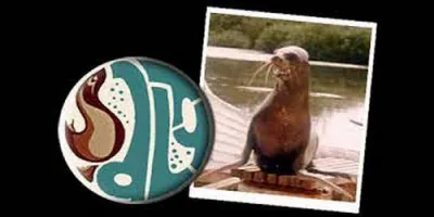 Dans "Salty", qui se lie d'amitié avec cette otarie ?