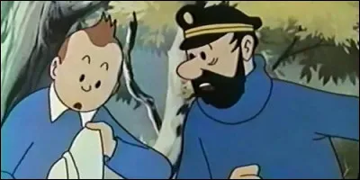 Qui accompagne le jeune reporter dans "Les Aventures de Tintin, d'après Hergé" ?