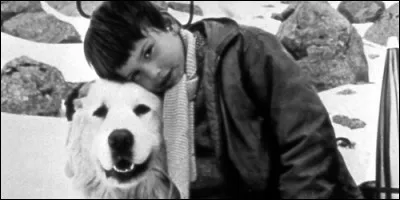 De quelle race est Belle dans "Belle et Sébastien" ?