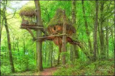 Aimes-tu les cabanes ?