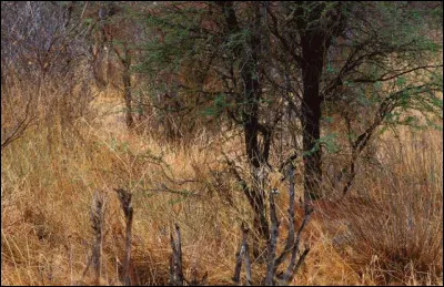 Vous pouvez voir ici...