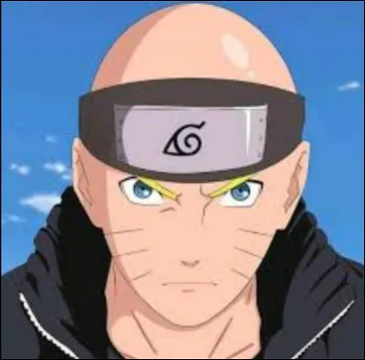 De quelle couleur sont ses cheveux ?