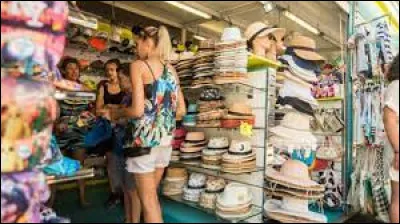 Tu pars visiter une ville près de la mer. Dans quel magasin entres-tu ?