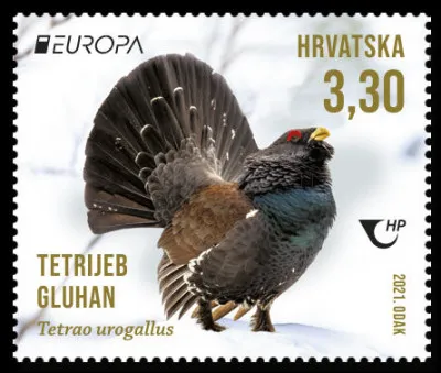 Croatie > Le grand tétras (ou grand coq de bruyère) est un véritable imitateur : il peut émettre un son proche de celui d'un bouchon qui saute ("pokfoc"), puis celui ... (Complétez !)