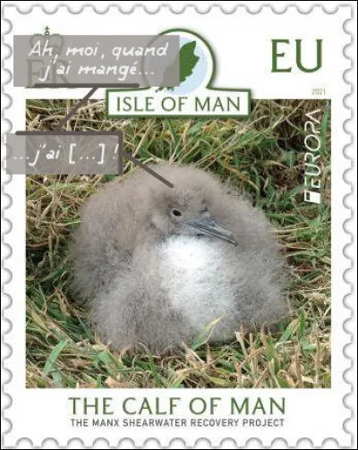 Île de Man > Celui-ci est dit "des Anglais", mais il a faillit être exterminé par des rats norvégiens* ! Comme le nomme-t-on ?