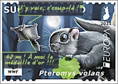 Finlande > On sait depuis toujours que les skieurs de ce pays sont champions en vols planés : c'est aussi le cas du ... [quel est son nom ?]