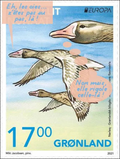 Groenland > Ces oies [...de quel espèce ?] sont évaluées comme étant modérément menacée au Groenland.