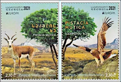 Georgie > "Pistacia mutica" : Si je vous dis que cette espèce est strictement dioïque et imparipennée, savez-vous de quoi l'on parle ?