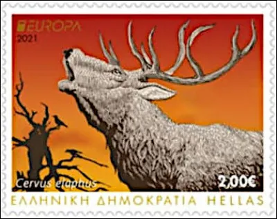 Grèce > Sans rire, ce cerf grec a vraiment de quoi crier trois fois "..." !