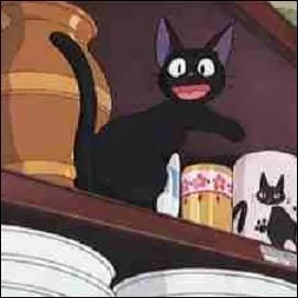 De quel anime vient ce chat ?