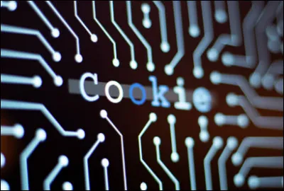 Que fais-tu des cookies ?