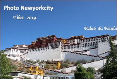 Quelle est cette ville capitale du Tibet située à 3 650 m d'altitude, célèbre pour son palais du Potala qui fut la résidence des dalaï-lamas jusqu'en 1959 ?