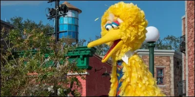 Dans la version originale "Sesame Street", quel est le véritable nom cet oiseau ?