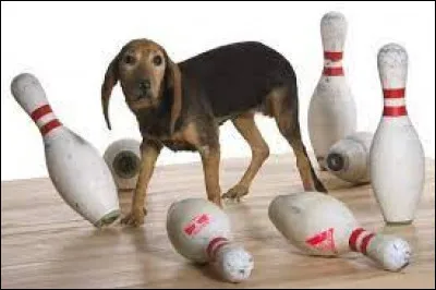 Il m'a très mal reçu, il m'a reçu...