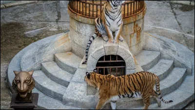 Lesquelles de ces épreuves font leur apparition cette saison ?