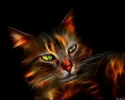 Que signifie lexpression "Avoir d'autres chats à fouetter" ?