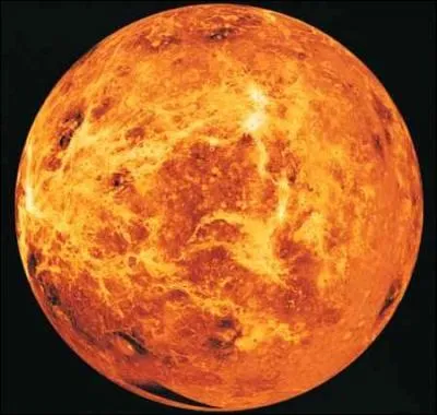 Quelle est cette plante ?