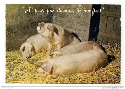 Comment s'appelle la peur de dormir ou de s'endormir ?