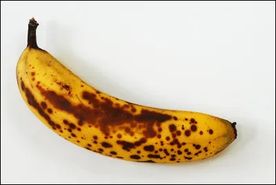 Quand les bananes ont des taches brunâtres, c'est qu'elles sont mûres.