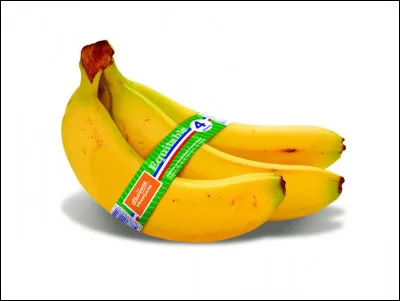 On peut cultiver des bananes toute l'année.