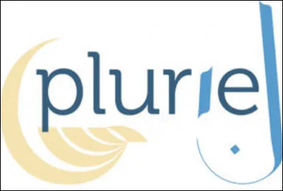 Quel est le pluriel de l'adjectif ''id&eacute;al'' ?