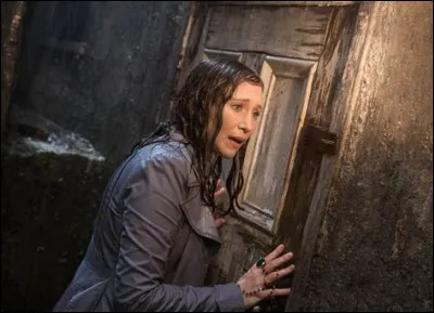 Quel esprit s'est ainsi emparé de la famille Perron ?