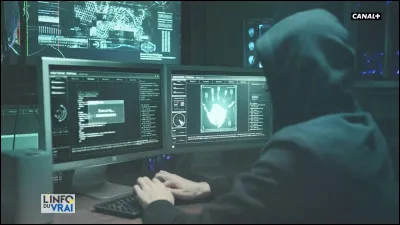 Hacker : quel nom est donné aux "gentils hackers", ces pirates informatiques qui sont des génies et qui uvreraient pour le bien de tous, et non pour le mal" ?