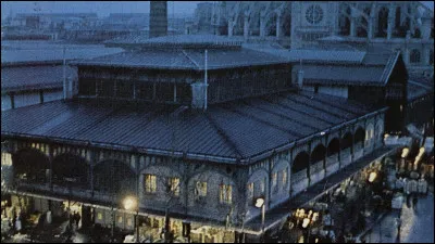 Halles : de quel livre célèbre, dans lequel l'auteur dépeint dans le détail, les étals de gibiers ou de poissons, les Halles furent-elles le décor ?